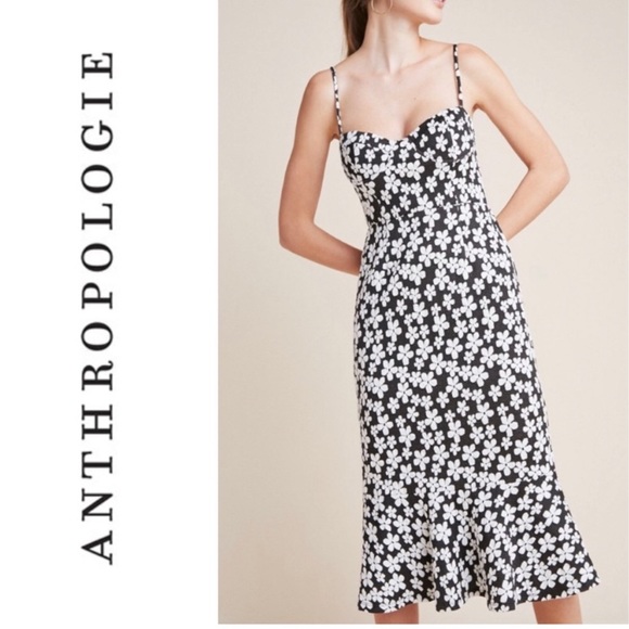 Anthropologie Hutch Daisy Midi Dress 